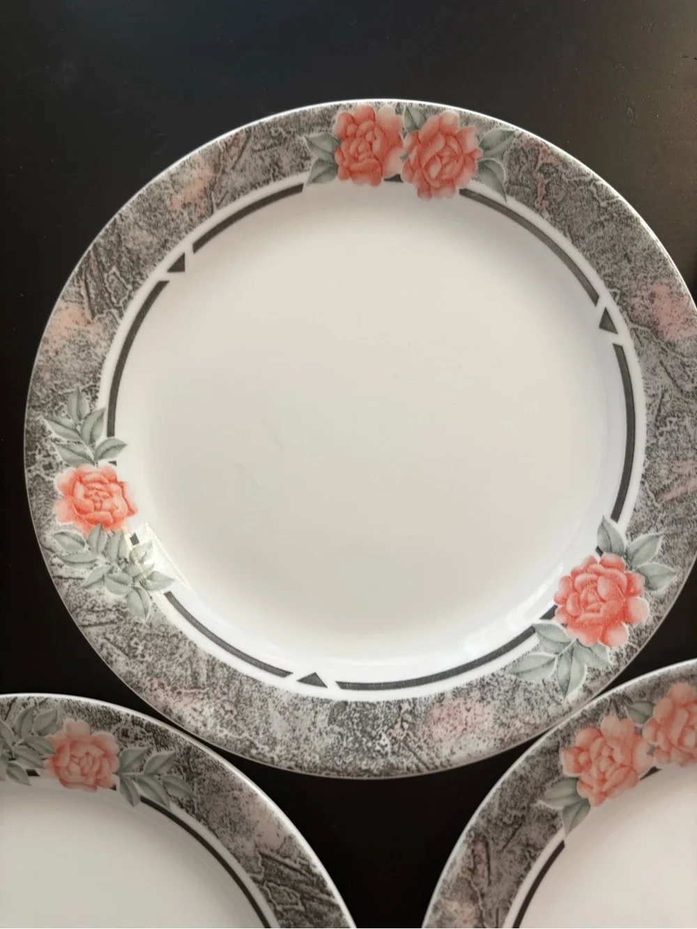 Corelle & Corning Discontinued Plates - Set of 5 - “Silk & Roses” Design